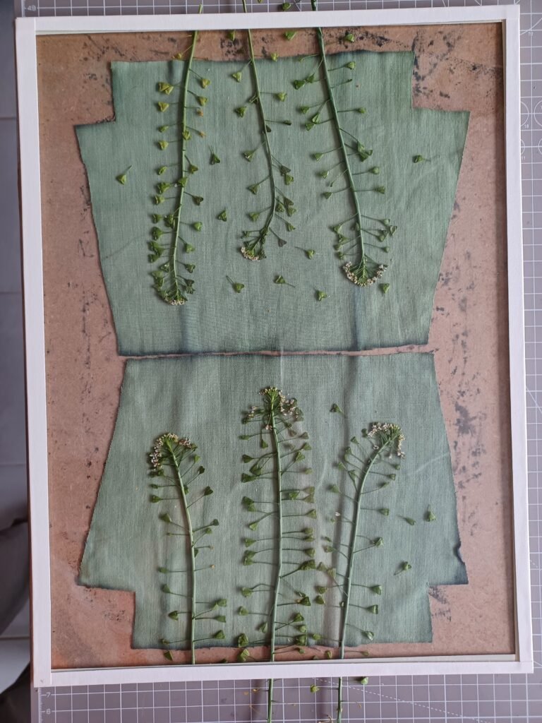 cyanotype composition