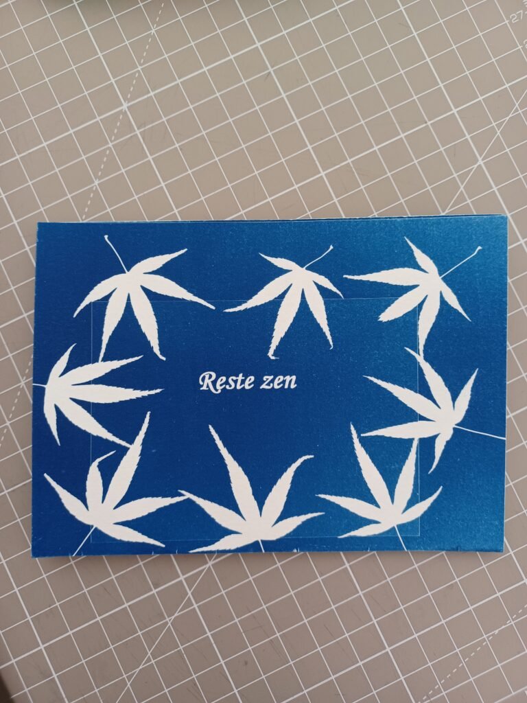 Création en cyanotype réalisée à partir de végétaux grâce à la lumière du soleil lors d'un atelier à Chassieu.